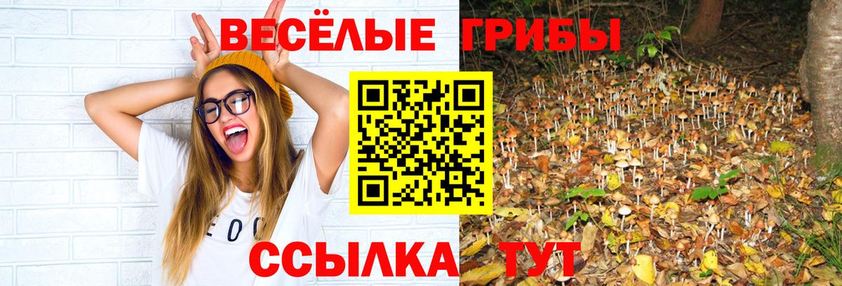 Дубна  Псилоцибиновые грибы GOLDEN TEACHER  Вход с VPN 